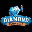 Porch Pro Headshot Diamond plumbing 