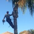 Porch Pro Headshot Don Boyer Professional Tree Service