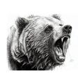 Porch Pro Headshot Grizzly Country Flooring Service and restoration (406) 916 1405-Calls only