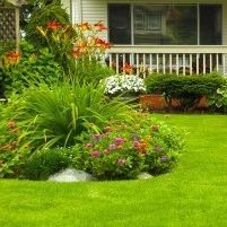 Jim Jenkins Lawn Garden Center Landscape Architect Designer Jim Jenkins Lawn Garden Center