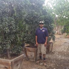 Moon Valley Nursery Landscape Architect Designer Murrieta Ca Moon Valley Nursery