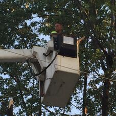 Myers Tree Service Saint Joseph Mo Projects Myers Tree Service