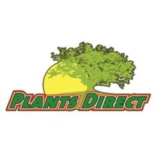 Plants Direct Nursery Landscaping Company Conway Sc Projects Plants Direct Nursery