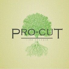 Pro Cut Tree Service Lake Stevens Wa Projects Pro Cut Tree Service