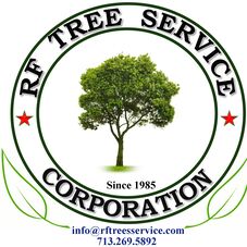 Rf Tree Service Houston Tx Projects Photos Rf Tree Service