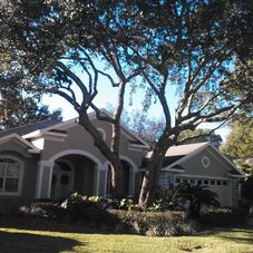 Top To Bottom Tree Care Stump Grinding Service Foley Al Top To Bottom Tree Care Stump Grinding
