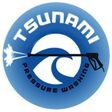 Porch Pro Headshot Tsunami Pressure Washing